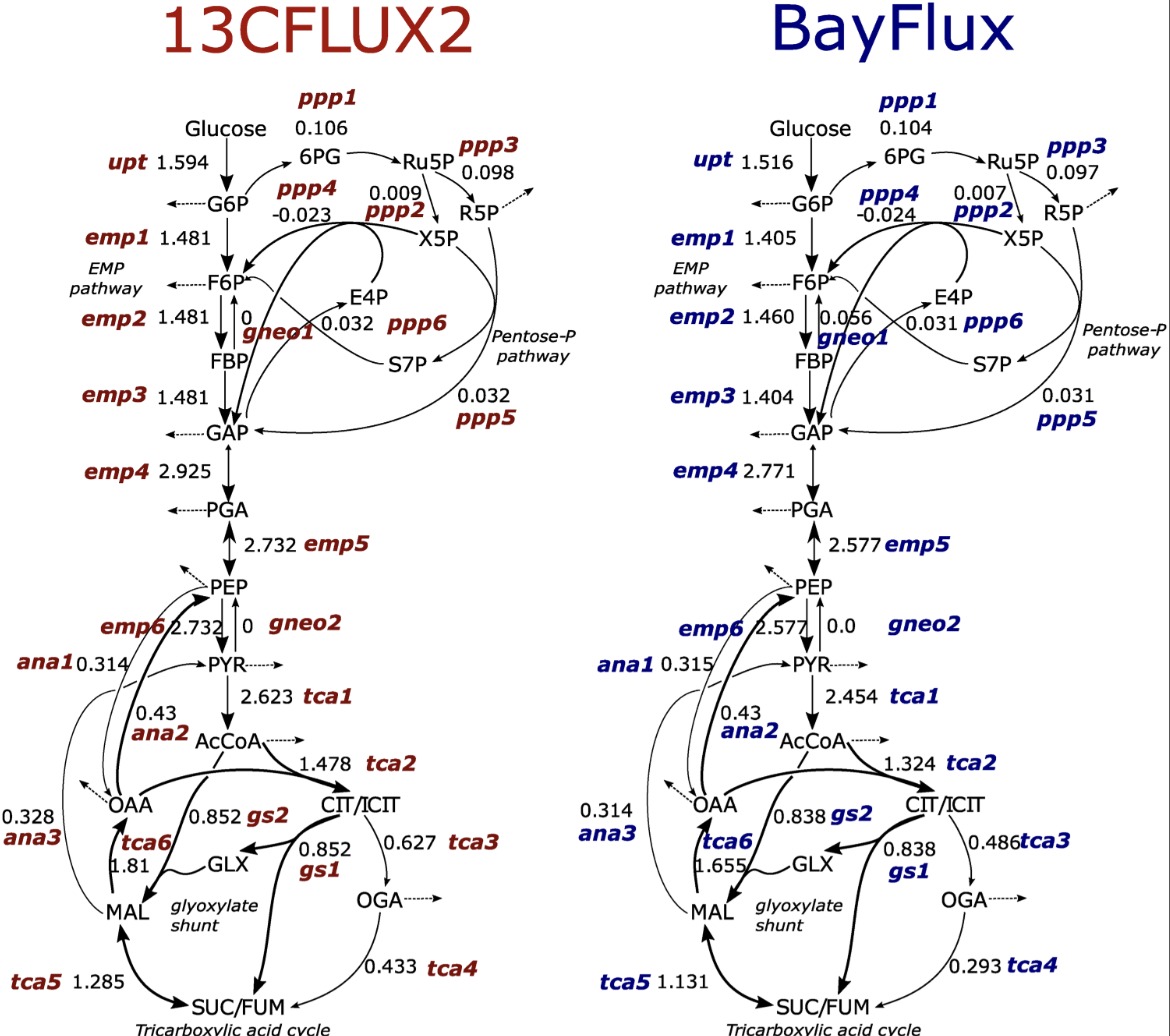 Figure from the Backman et al. (2023) BayFlux paper: metabolic flux profile comparison